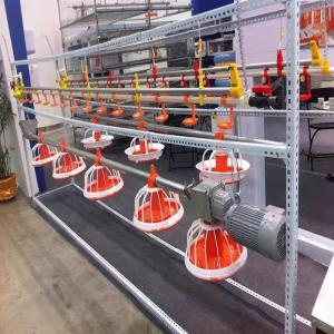 Wholesale Broiler Automatic Pan Feeding System 380V Automatic Pan Feeder from china suppliers