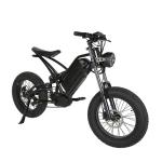48V Fat Tire Electric Mountain Bike 20 Inch Customized Black Ebike with Disc