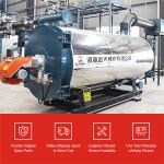 Industrial Gas Fired Lpg Fuel Burning Thermal Oil Boiler For Drying