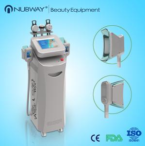 Wholesale Good result Hot 5 handles cryolipolysis body slimming beauty machine for clinic in advance from china suppliers