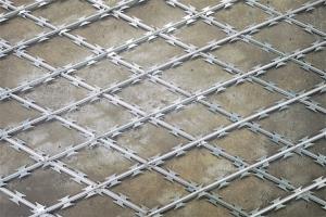 Wholesale Welded Razor Barbed Wire Fence With 25-35mm Barbs And 75X150mm Mesh from china suppliers