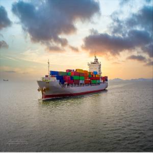 Wholesale International Sea Freight Forwarding DDP From China To India from china suppliers