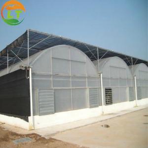 Wholesale Single Layer Film Cover Greenhouse with Excellent Insulation and Pressure Resistance from china suppliers