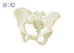 3D Anti Aging P20 PBT Injection Molding Medical Parts