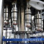 4-In-1 Monoblock Rotary Edible Oil Filling Machine Glass PET Bottle Rinsing