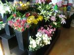 10mm Corflute Wedding Flower Display Stands Chemical Resistant