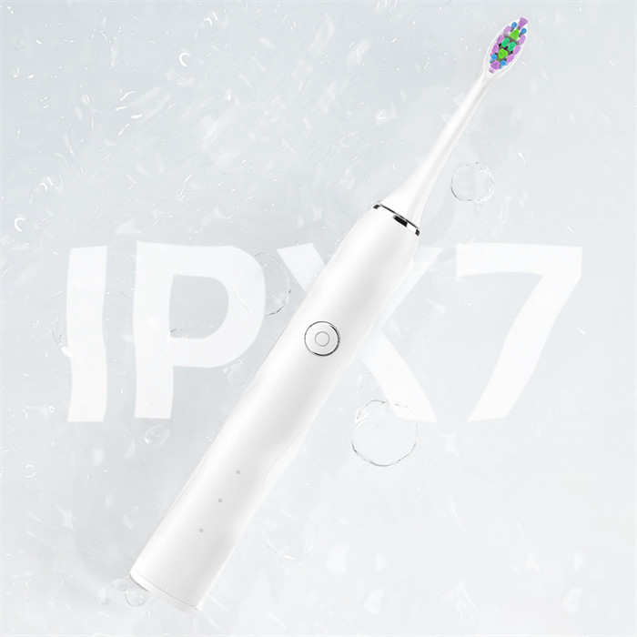 Brush Head Diameter 0.12/0.15mm Sonic Electric Toothbrush 30 Sec Interval Reminding SN302