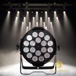 Professional Stage Lighting LED PAR Light 18*10W RGBW 4 In 1 Disco Light