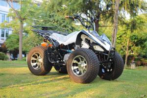 Wholesale 13.9HP 250CC Youth Racing ATV Chain Drive ATV With Front Drum Brake from china suppliers