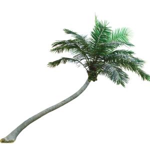 Wholesale Large S Shape Artificial Coconut Palm Tree Height 4-15m UV Resistance from china suppliers