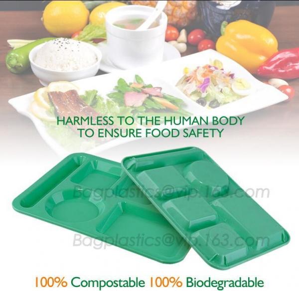 Quality fast food boxes custom logo printing, Compostable plastic food container, eco-product renewable 100% compostable PLA foo for sale