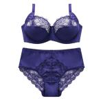 BEIZHI Lace Plus Size Underwear And Bras D Cup Size Sexy Underwire Ladies Inner