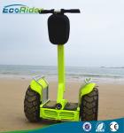 2 Wheel Self Balancing Scooter Off Road Segway Brushless Motor 4000w 110-240V