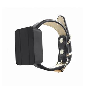 Wholesale 1200Mah Real Time GPS Location Tracker 2G 4G LTE Mini Children Pet Cat GPS Tracker from china suppliers
