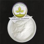 Zero Calories High Quality Chicory root extract dietary fiber powder natural
