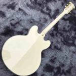 Double F-Holes Hollow Body Jazz Electric Guitar Ebony Fretboard Tremolo System