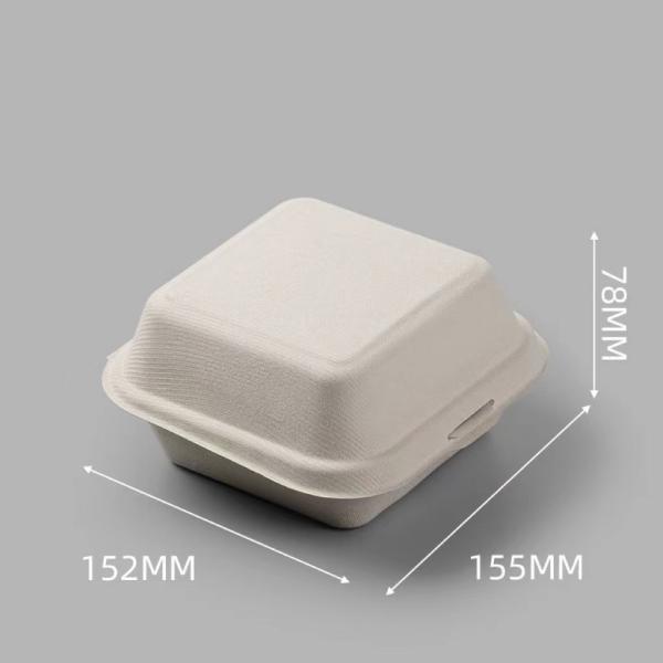 Cake Food Container Paper Box Compartment Clamshell Sugarcane Lunch Box
