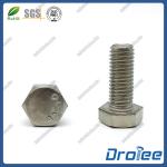 18-8 / 304 / 316 Stainless Steel Hex Cap Bolts