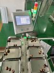 SS304 Desk Top Fruit Multihead Weigher 12 Head Weighing Scale