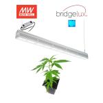 Linear Design 2 Foot Led Grow Light For Commercial Cannabis Growing Project