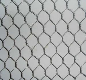 China Durable style hexagonal wire mesh, pvc coated chicken hexagonal wire mesh, galvanized hexagonal wire mesh fence on sale