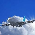 Warehousing Logistics International FEDEX DDP DDU Door To Door From Shanghai