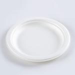 Wholesale disposable 6 inch plate green bagasse pulp food plates