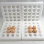 Biodegradable Insert EPE Foam Sheet 30 Eggs Tray With Box Packaging