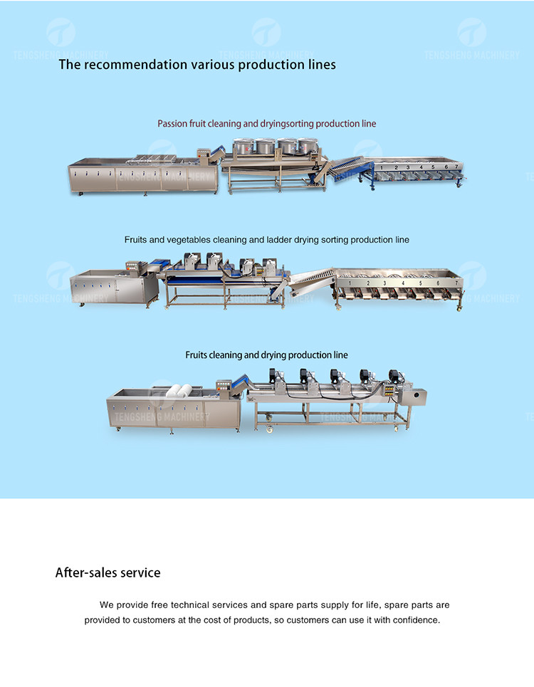 2.2KW Garlic Processing Machine Skin Removing Garlic Peeler
