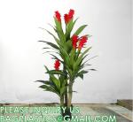 Dracaena Silk Plant Artificial 5ft Faux House Plants Evergreen Dracaena