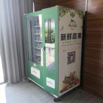 Capacity 337-662 Conveyor Vending Machine / Salad Vegetables Fruit Vending