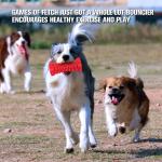 Red Color Large Dog Tough Chew Toys 6.5*2.7 Inch Eco Friendly Rubber Material