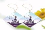Closets Funny Perfume Hanging Paper Air Freshener