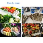 ICEMA 30T/24hours Flake ice machine energy conservation