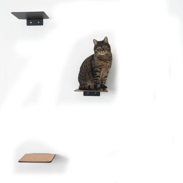 Modern Metal Cat Room Wall Seat with Stamping Parts Installation Wall Mount Pre