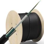 Singlemode G652D G657A 4 6 8 12 Core GYXTW Outdoor Armoured Fiber Optic Cable
