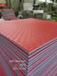 Karate Foam Eva Mat Jujitsu Judo Tatami Mat 4cm