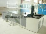 Multifunctional Laboratory Island Bench Acid Resistant Antirust