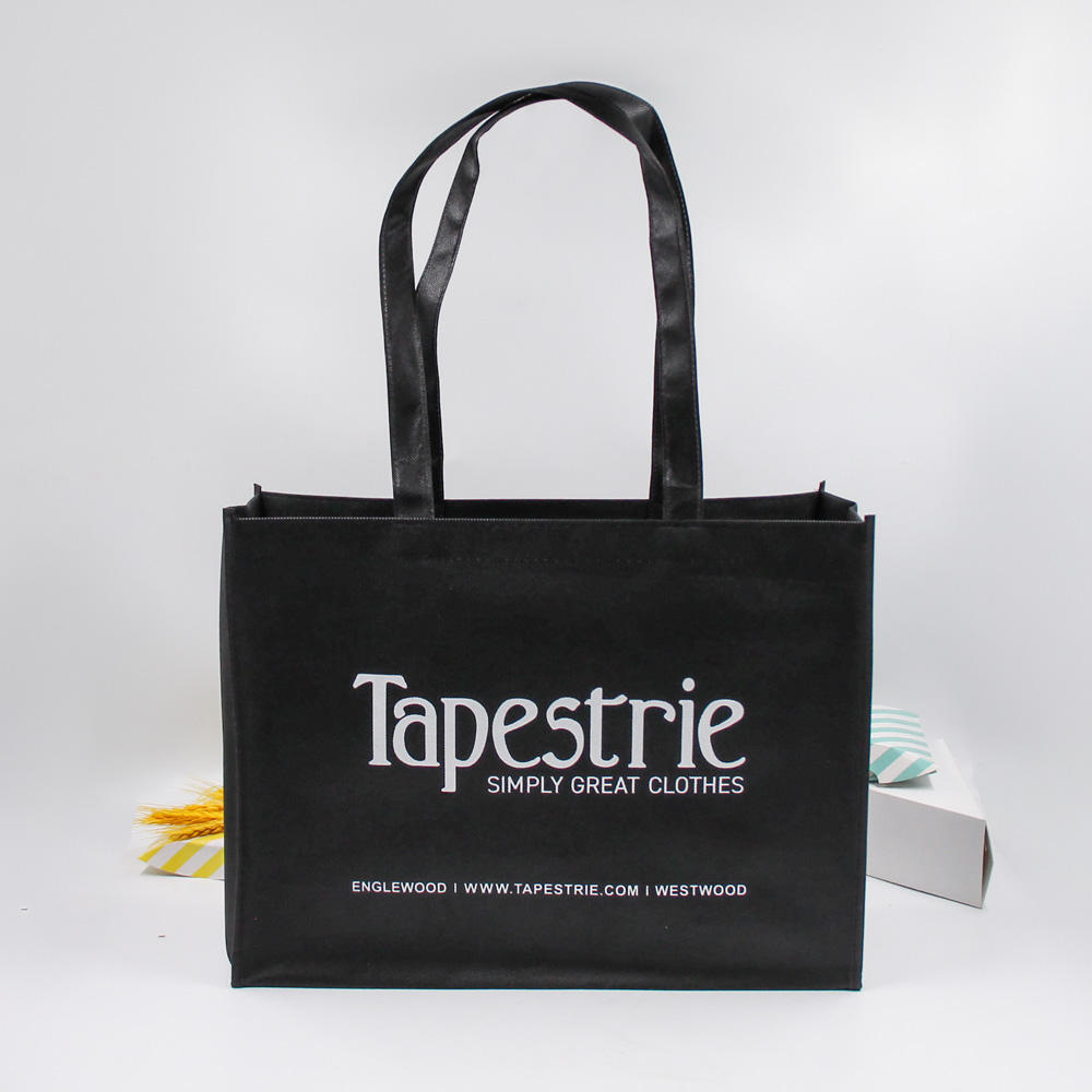 Custom Order Eco-Friendly Fabric Non Woven Logo Shopping Bag for Exhibition Promotion
