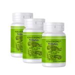 Dietary Supplement Natural Health Beauty Pills Tribulus Terrestris Capsules 95%