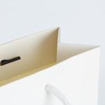 FSC CMYK Shopping Paper Carrier Bags With Handles ODM Logo Print