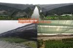 30 mesh anti insect farm nets for greenhouse,100% pe transparent color