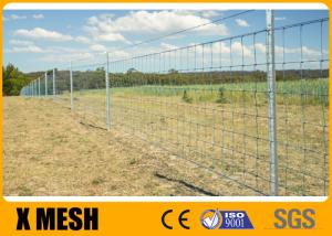 Wholesale ASTM A121 15cm Hinge Joint Fencing Wire Mesh Hot Dipped Galvanized from china suppliers