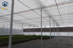 Large Scale Hydroponics Multi Span Greenhouse For Modern Farmers