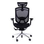BIFMA Green Guard Certificate Adjustable Armrest Wintex Mesh Ergonomic Office