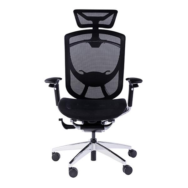 BIFMA Green Guard Certificate Adjustable Armrest Wintex Mesh Ergonomic Office