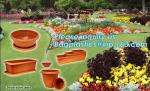 mini plastic nursery pots flower pots for herb seedling,cheap price black
