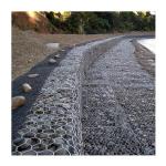 Hole Shape Hexagonal Gabion Wire Mesh Protect Zinc Coated Gabion Box Stone Cage