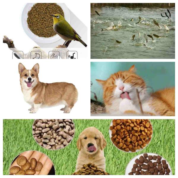 Automatic Floating Fish Feed Production Line Fish Feed Pet Food Production Line