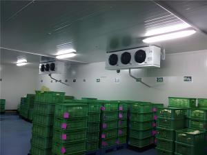 Wholesale Polyurethane Foam Insulation Freezer Room And Cold Room For Pharmaceutical Products from china suppliers